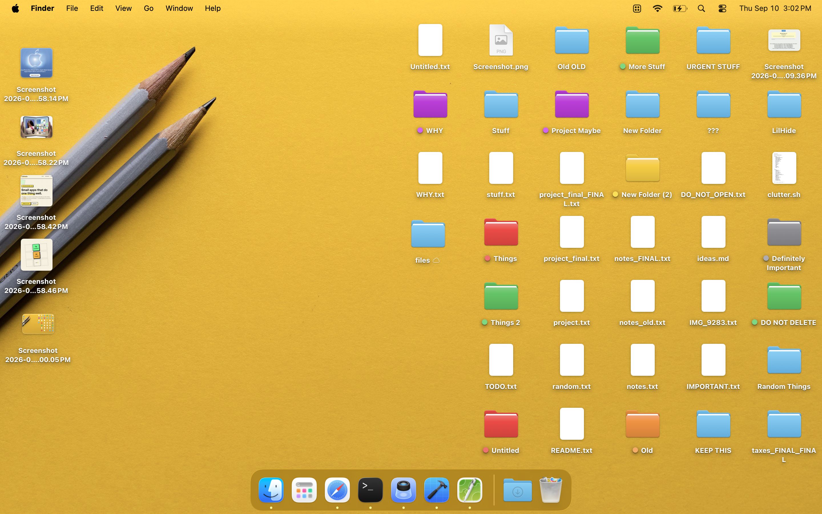 A cluttered macOS desktop covered in files and folders